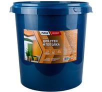 Краска для стен и потолков Pufas Decoself мороз. 40кг СП тов-136415