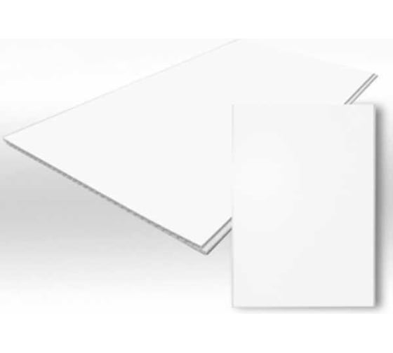 Панель AGIS Белая Матовая 2,7 м 250x8 мм 10.01.08.25.270