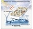 Фотообои на стену флизелиновые Verol 3D "Цветы", 300x283 см, 8.49 м2 140-ФФО-05791 8