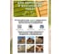 Антисептик Легко ХМББ3239 20кг 80317 2