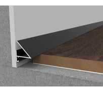 Микроплинтус ДИАЛ ПР-2335 напольный для подсветки 2 000 - 6063 Т6 серебро матовое 4687204783494