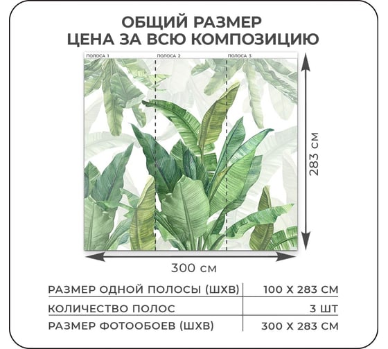 Фотообои на стену Verol флизелиновые 3D Листья пальмы 300x283 см, 8.49 м2 209-ФФО-05887