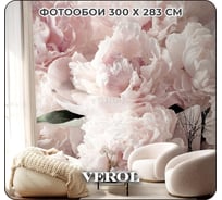 Флизелиновые фотообои на стену Verol 3D Пионы, 300x283 см, обои моющиеся для спальни, на кухню 158-ФФО-05846