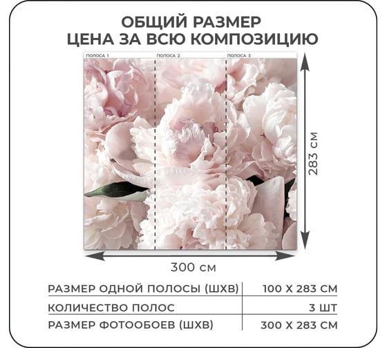 Флизелиновые фотообои на стену Verol 3D Пионы, 300x283 см, обои моющиеся для спальни, на кухню 158-ФФО-05846