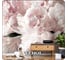 Флизелиновые фотообои на стену Verol 3D Пионы, 300x283 см, обои моющиеся для спальни, на кухню 158-ФФО-05846 2