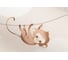 Обои Palitra Home Zoo Child HC72270-12 2