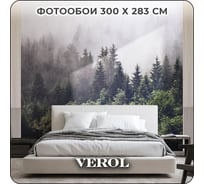 Флизелиновые 3D фотообои на стену Verol Лес и туман 300x283 см, 8,49 м2, в спальню, для кухни, моющиеся виниловые 155-ФФО-02812
