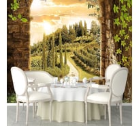 Фотообои ООО Первое ателье Увитая виноградом арка 100x135 см 141239-1-9-51316