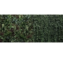 Фотообои ООО Первое ателье листья Зеленая стена растений 400x180 см 94438-1-9-35078