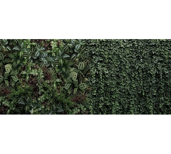 Фотообои ООО Первое ателье листья Зеленая стена растений 400x180 см 94438-1-9-35078 1