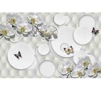 Фотообои ООО Первое ателье цветы "Круги с орхидеями и бабочками" 400x260 см ШхВ 97357-1-9-38566