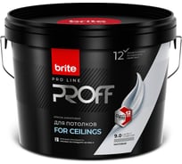 Краска для потолков BRITE PROFESSIONAL белая, матовая, база А, банка 9 л О02247