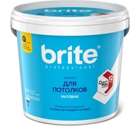 Интерьерная краска для потолков BRITE PROFESSIONAL матовая супербелая (база А), банка 0.9, О02245