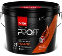 Фасадная краска для наружных и внутренних работ BRITE PROFESSIONAL белая, матовая, база А, ведро 9л О02235