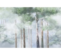 Флизелиновые фотообои на стену ООО Первое ателье природа лес, "Высокие сосны в тумане", 200x150 см (ШхВ) pw150451-1