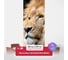Флизелиновые фотообои на стену ООО Первое ателье животные, "Царь зверей", 100x270 см (ШхВ) pw150479-1 5