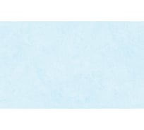 Обои на флизелиновой основе Erismann Profi Deco Magdalena 1.06x10.05 м 60751-05