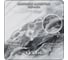 Фотообои Verol 3D на стену флизелиновые Серо-черный мрамор 200x283 см, 5.66 м2, обои виниловые, водостойкие, обои для кухни моющиеся 321-ФФО-05920 7