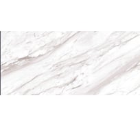 Керамогранит Belleza ATLANTA WHITE (SILVER GLOSSY CARVING) 60x120 см SS, 1.44 кв. м СК000042821
