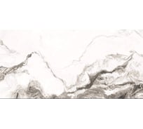 Керамогранит Belleza COLONIAL DARK GREY (SILVER GLOSSY CARVING) 60x120 SS СК000044540