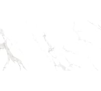 Керамогранит Azori Ceramica Azori R 120x60 Statuario Endles 2 шт в упак 00-00108567