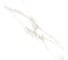 Керамогранит Azori Ceramica Azori R 60x60 Statuario Gold 4 шт в упак 00-00108580 1