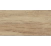 Керамогранит LB CERAMICS Янссон бежево-коричневый 30x60 см, 1.44 м2, 8 шт. СК000042564