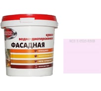 Краска Эммикс ВД для наружных работ моющаяся S 0520 R 50 B (вед 2,7 л/4,3 кг) 4690417121298