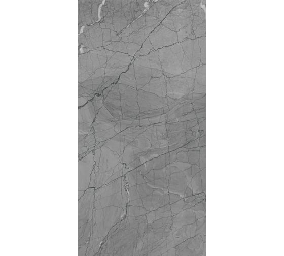 Керамогранит Evolution Ceramic 60x120, Hawk Steel Carving, 2 шт. HST60120C 1