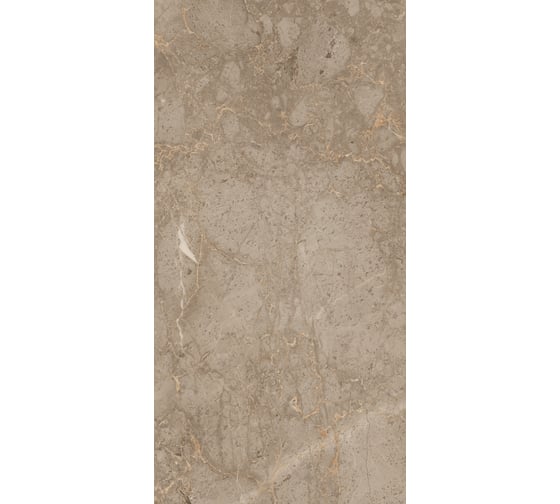 Керамогранит Evolution Ceramic 60x120, Celio Mink Carving, 2 шт. CM60120C 1