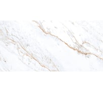 Керамогранит Evolution Ceramic 60x120, TERRACOTTAPRO Dominica White Glossy, 2 шт. T-DW60120G