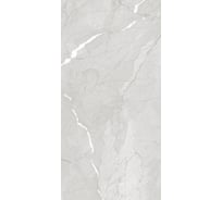 Керамогранит Evolution Ceramic 60x120, Hawk Silver Carving, 2 шт. HSIL60120C