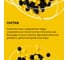 Антисептик GOLDBASTIK Биоконтакт концентрат 1:9, 1.25 кг BB 26 1 6