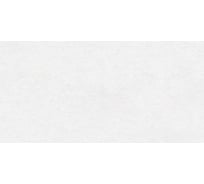 Керамогранит DELACORA Absolute Ice матовый, 1200x600 мм, 2 шт. в упаковке D12038M