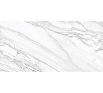 Керамогранит DELACORA Statuary Venato матовый, 1200x600 мм, 2 шт. в упаковке D12065M