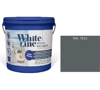 Краска фасадная ВД White Line RAL 7012 Серый базальт, ведро 9 л, 11,2 кг 4690417129980