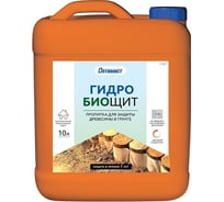 Пропитка Оптимист Гидробиощит для защиты древесины в грунте С402 10 л OPI013