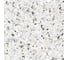 Керамогранит AlmaCeramica Terrazzo лаппатированный, 570х570 мм, 5 шт. GFA57TRZ07L 7