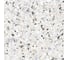 Керамогранит AlmaCeramica Terrazzo лаппатированный, 570х570 мм, 5 шт. GFA57TRZ07L 12