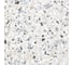 Керамогранит AlmaCeramica Terrazzo лаппатированный, 570х570 мм, 5 шт. GFA57TRZ07L 13