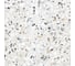 Керамогранит AlmaCeramica Terrazzo лаппатированный, 570х570 мм, 5 шт. GFA57TRZ07L 15