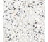 Керамогранит AlmaCeramica Terrazzo лаппатированный, 570х570 мм, 5 шт. GFA57TRZ07L 20