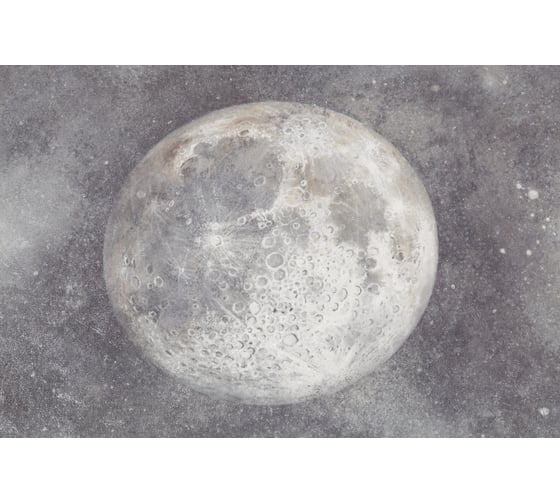 Обои Palitra Home Universe HC72367-44