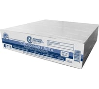 Набор потолочных плит ООО "ИНЖЕНЕР-СТРОИТЕЛЬ" 24 шт. IS1022