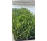 Искусственная трава ComeForte 50 мм, 1x30 м AG-5011 2