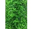 Искусственная трава ComeForte 45 мм, 2x30 м AG-4522 1