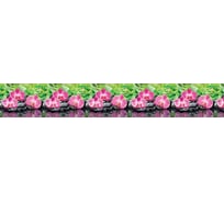 Фартук для кухни на стену ООО Оптион 4000х600х1 мм, Орхидеи эпифиты 87377