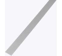 Полоса РУССКИЙ ПРОФИЛЬ 20 мм, 2,7 м, анодированное серебро, матовое, 10 штук 4680427125287