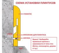 Плинтуса или плинтусы как правильно