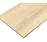 Керамогранит матовый Алдер бежевый / Alder Beige NewTrend 151x602 GP1560ALD11 2